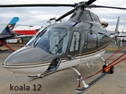 Koala 12