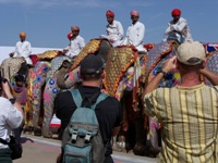 Rageelo Rajasthan