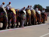 Rageelo Rajasthan