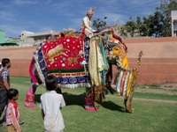 Rageelo Rajasthan