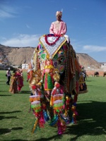 Rageelo Rajasthan