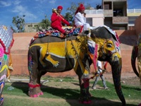 Rageelo Rajasthan