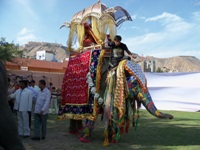 Rageelo Rajasthan